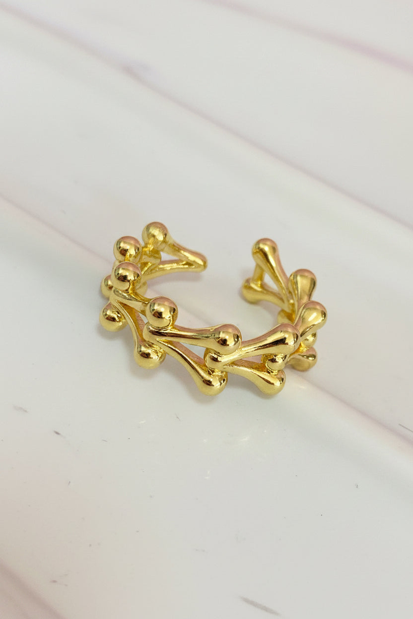 Anillos
